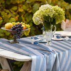 Tovaglia Dinamic Azzurro